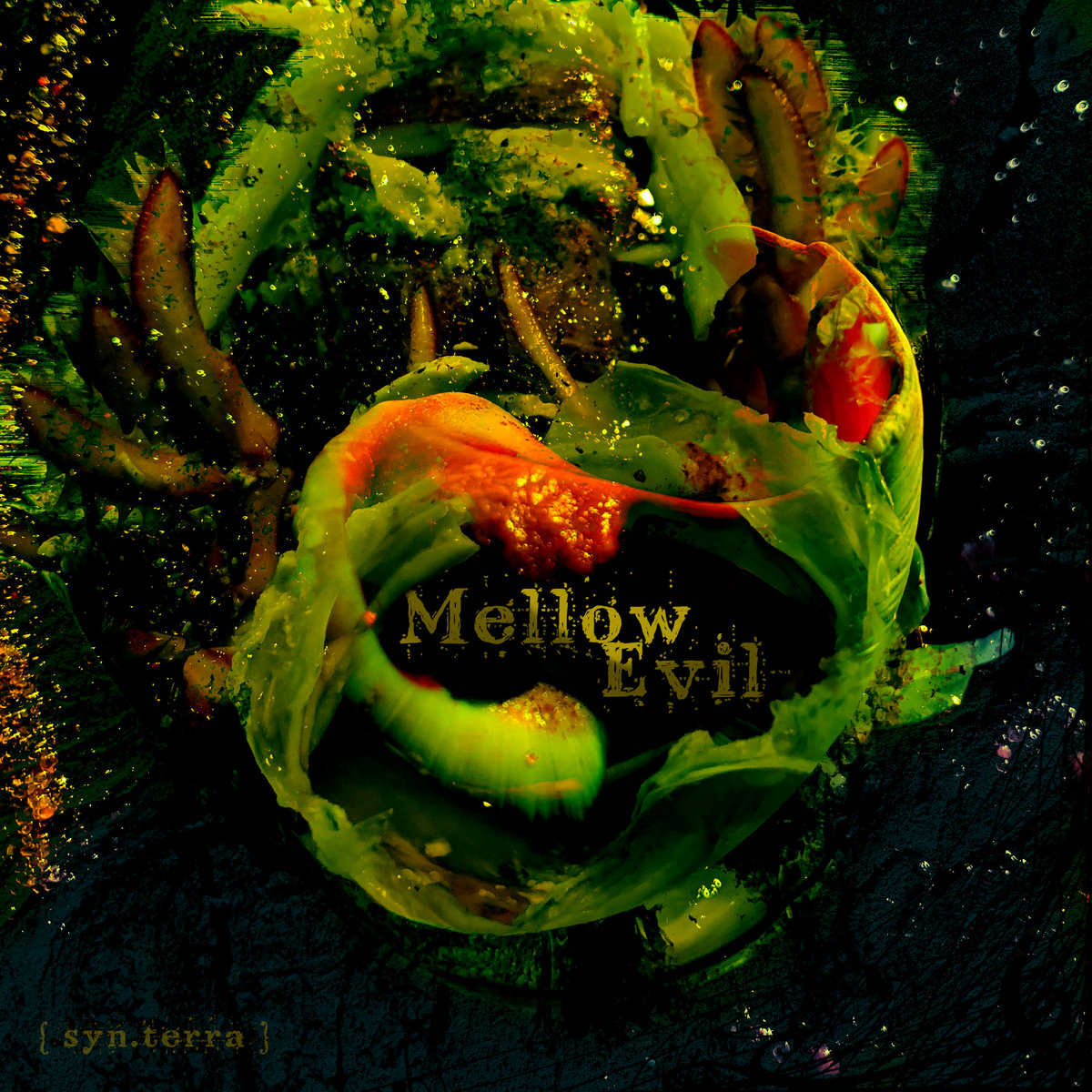 mellow evil album cover